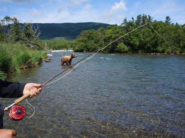 Gone Fishing! Discover Our Alaska Fishing Adventures