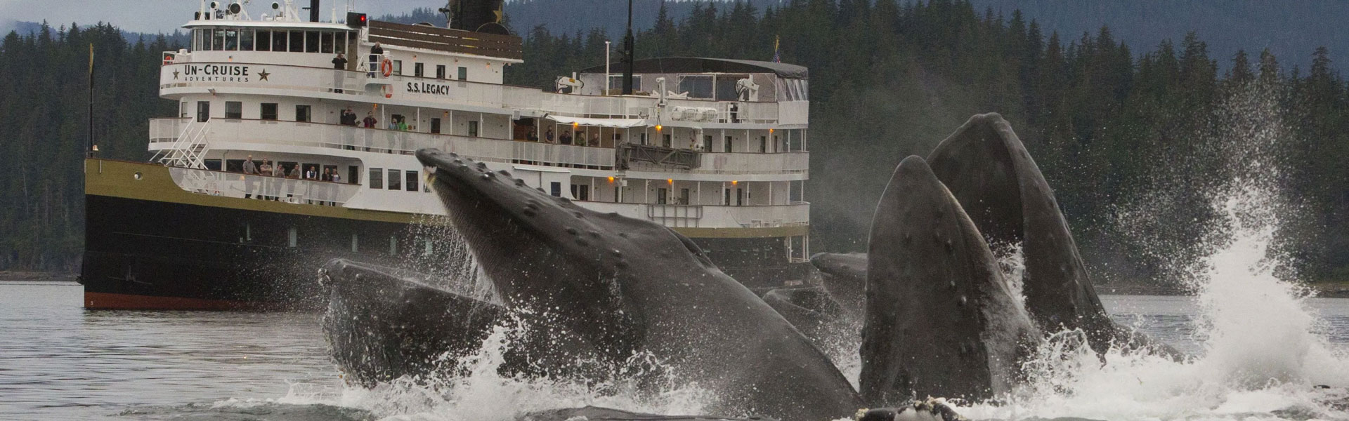 Small Ship Cruises Alaska Collection Small Ship Cruises Alaska Collection