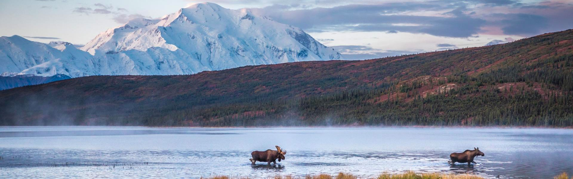 Alaska Cruise and Land Tour Packages Alaska Cruise and Land Tour Packages