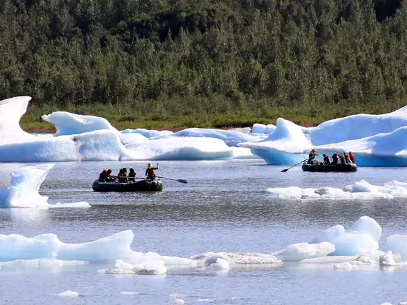 Anchorage Day Trips Bears Trains Icebergs Tour 4