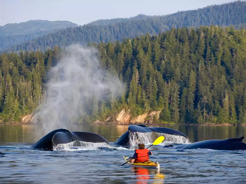 Favorite Bay Lodge | Alaska Wilderness Lodge